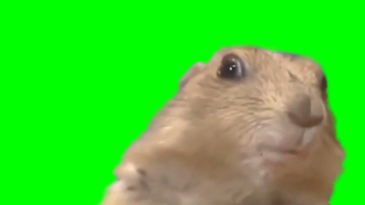 Dramatic Chipmunk meme (Green Screen) – CreatorSet