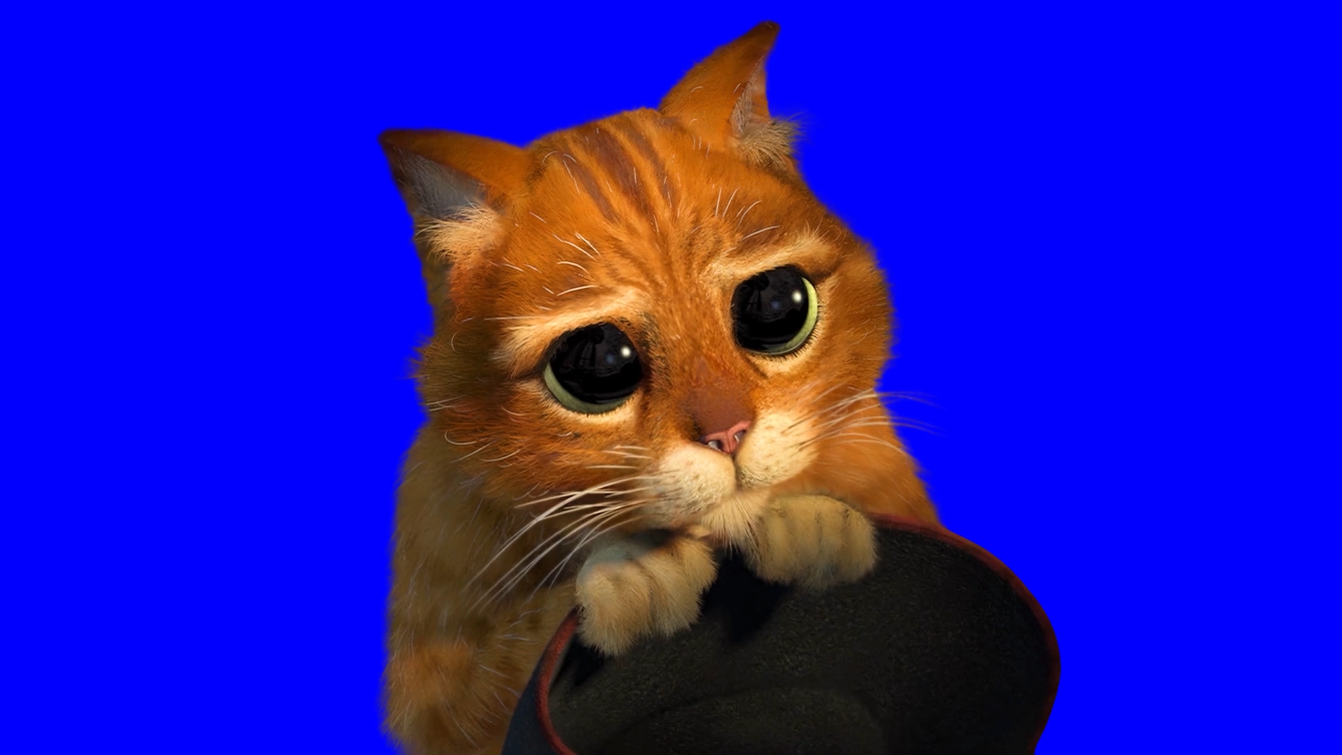 Puss in Boots Cute Cat Eyes with Shrek - Shrek 2 (Green Screen) (Blue Screen)