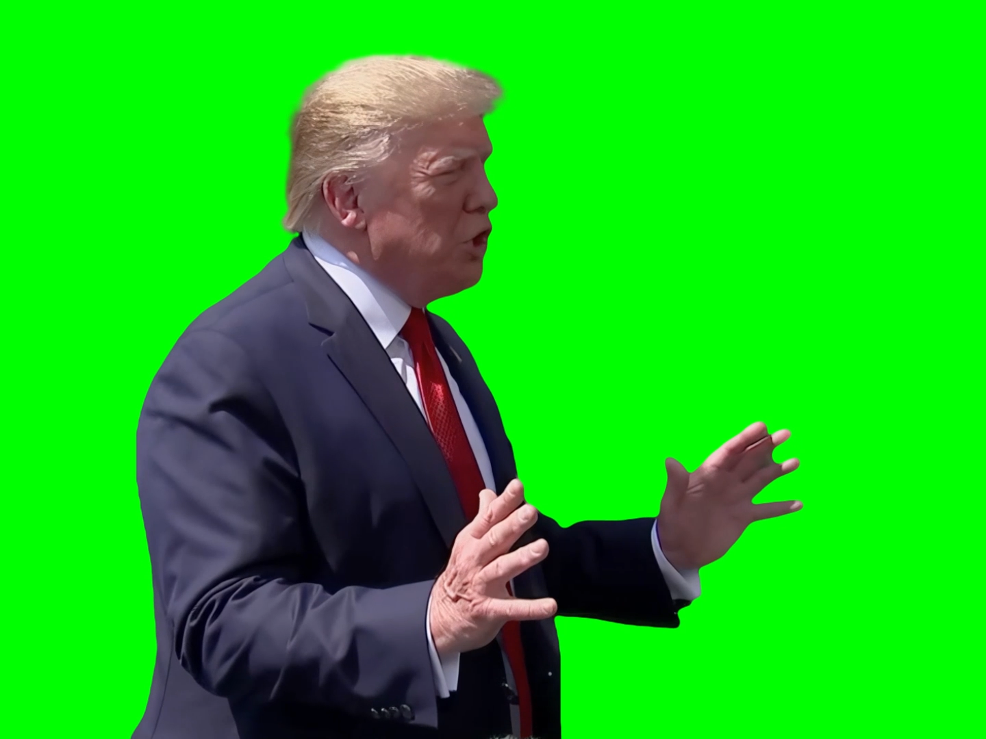 Donald Trump meme - 