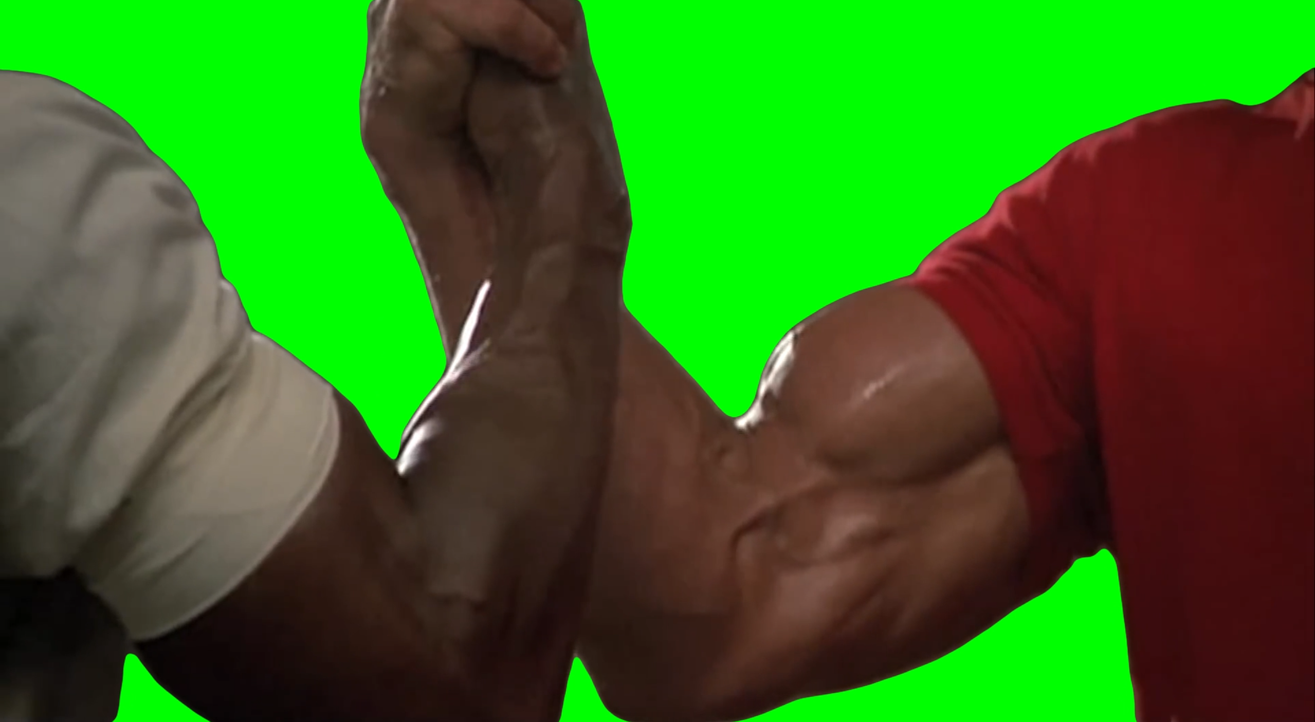 Dillon, you son of a b*tch! (Green Screen)