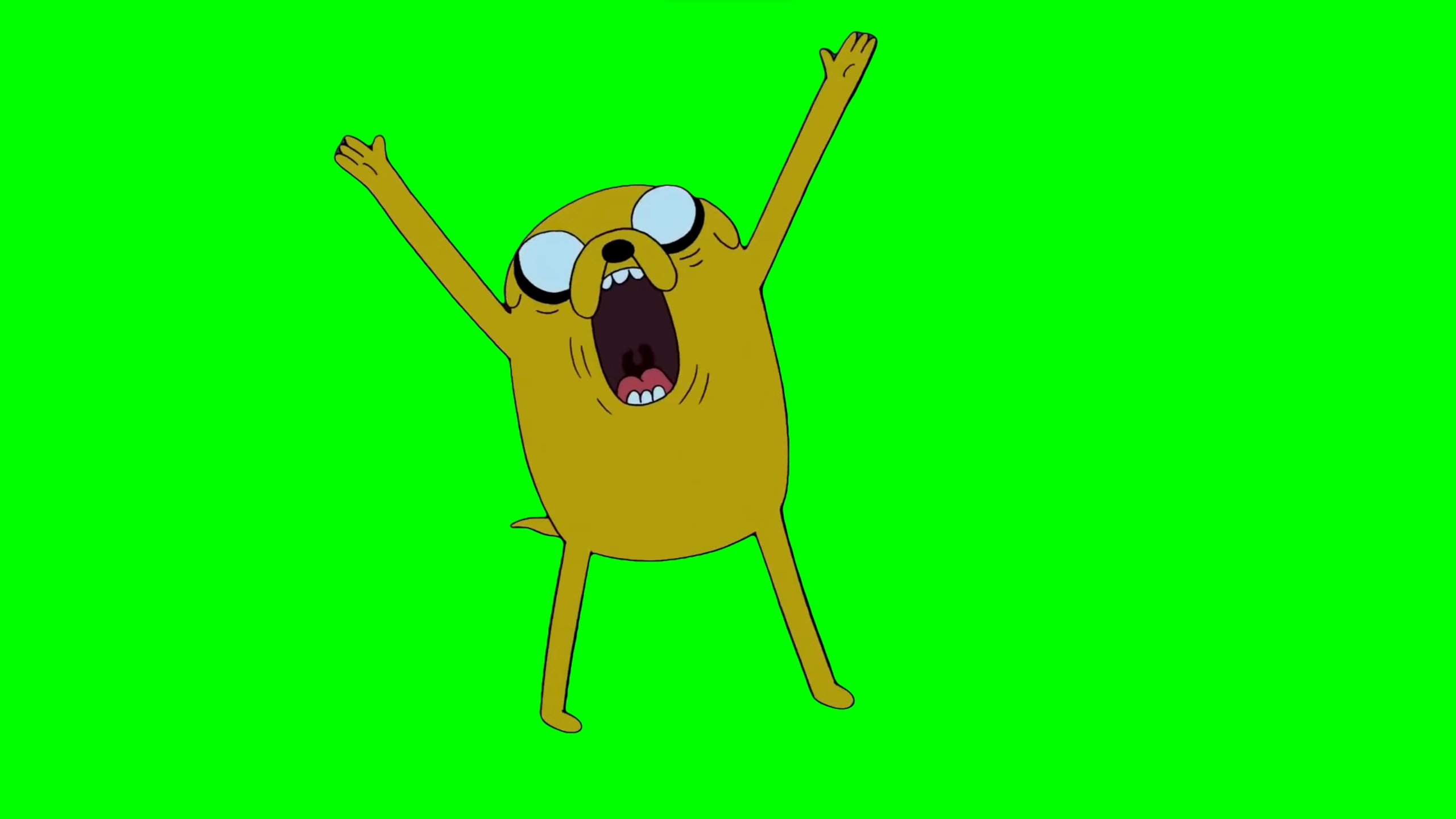 Jake the Dog silently screaming after getting bitten by a spider - Adventure Time (Green Screen)