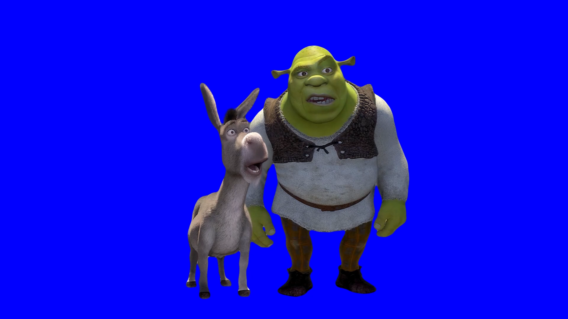 Donkey 