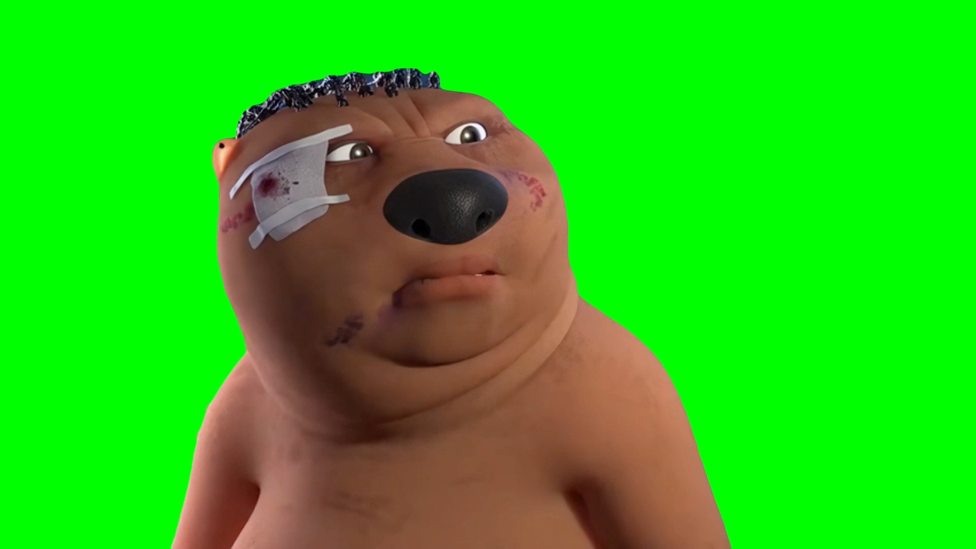 Chinese Beaver meme - A Better Tomorrow Bear meme (Green Screen)
