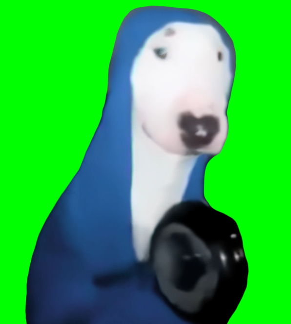 Walter Dog hitting pan with spoon meme (Green Screen)