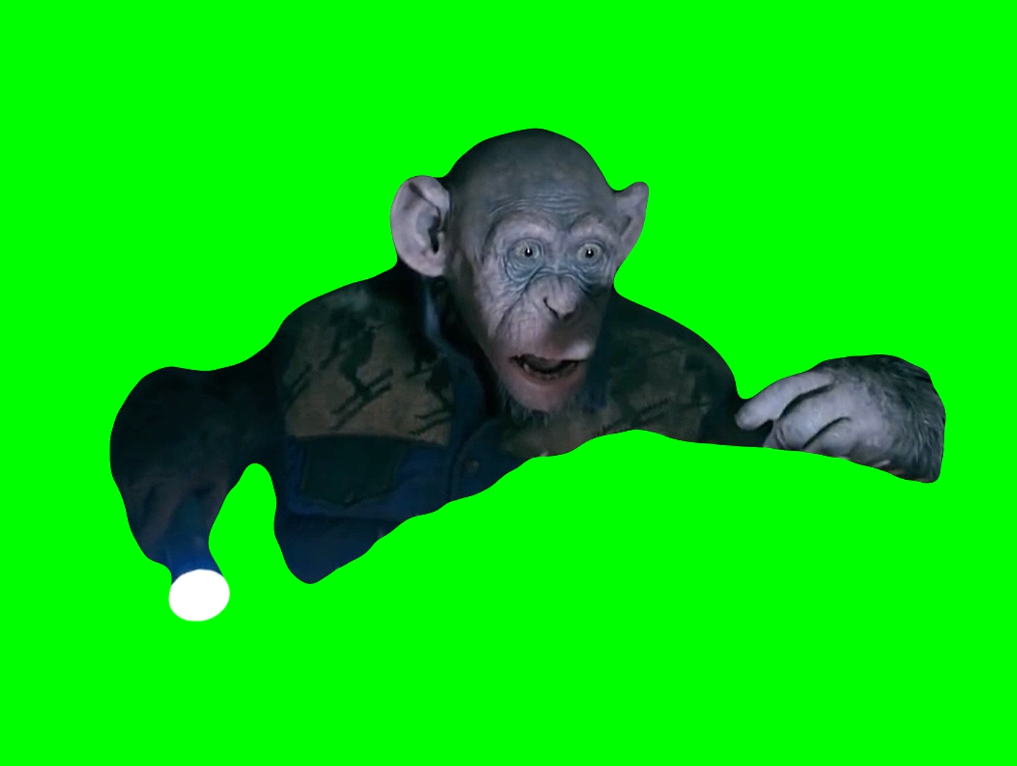 Monkey saying 