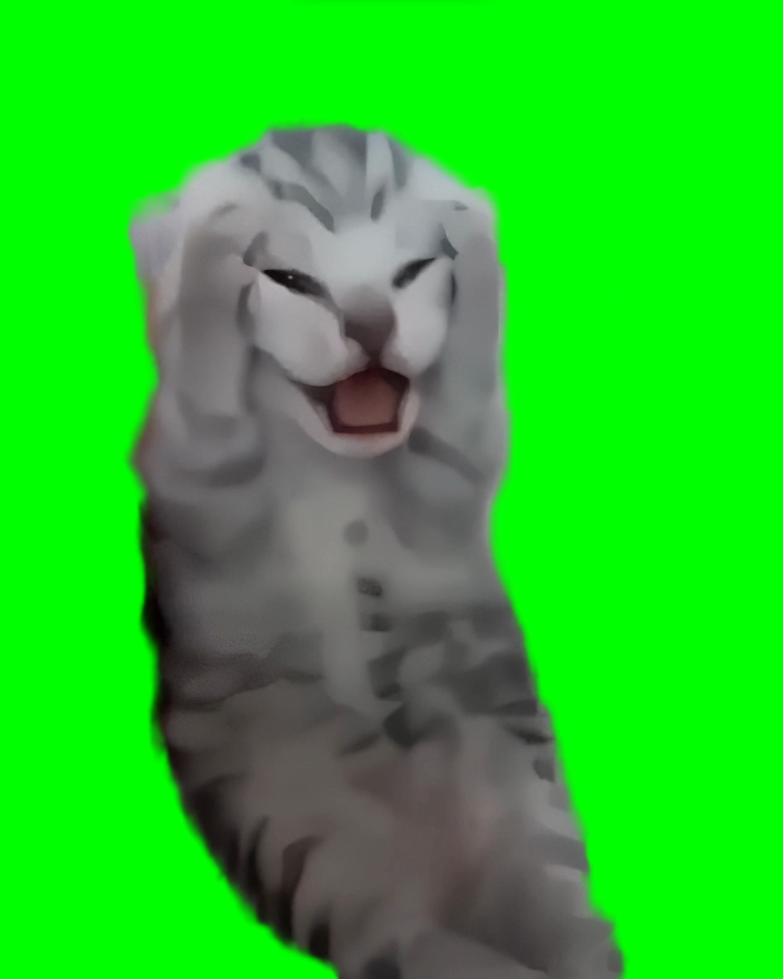 Cat Screaming while Holding Head Meme (Green Screen)