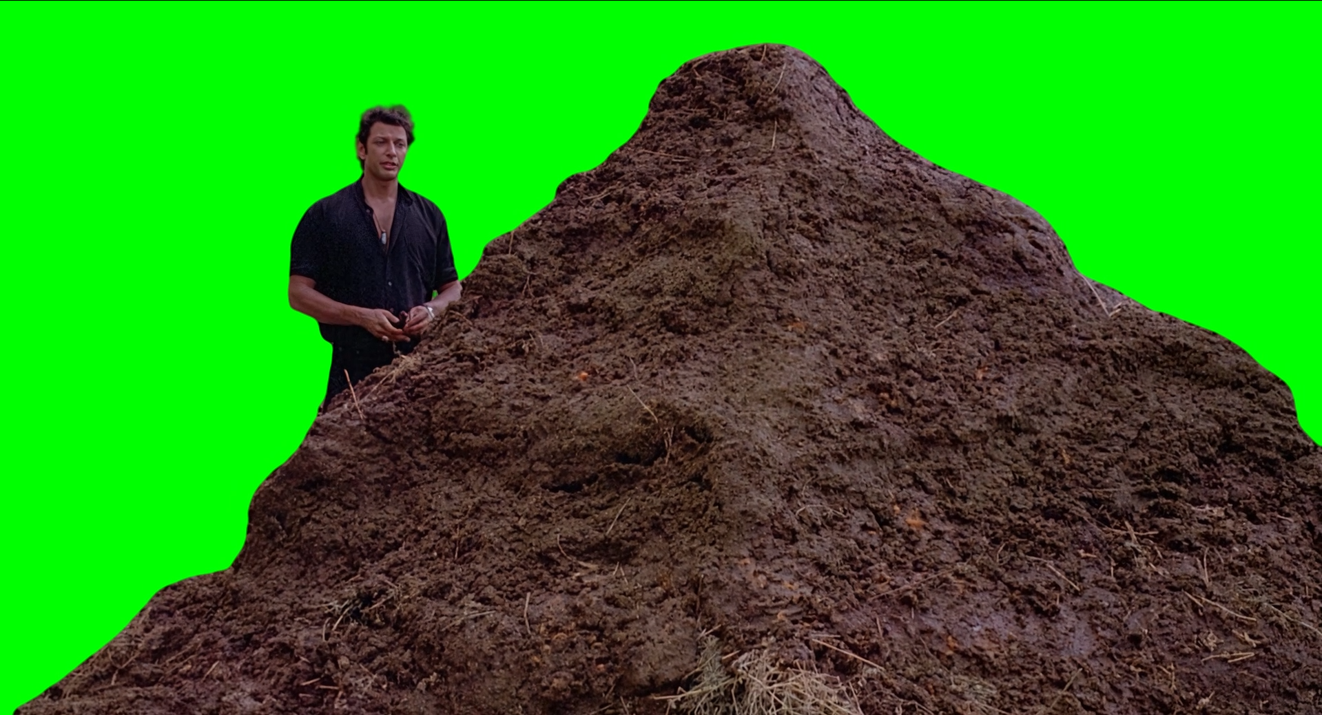 jeff goldblum i plant seeds Jeff Goldblum saying 