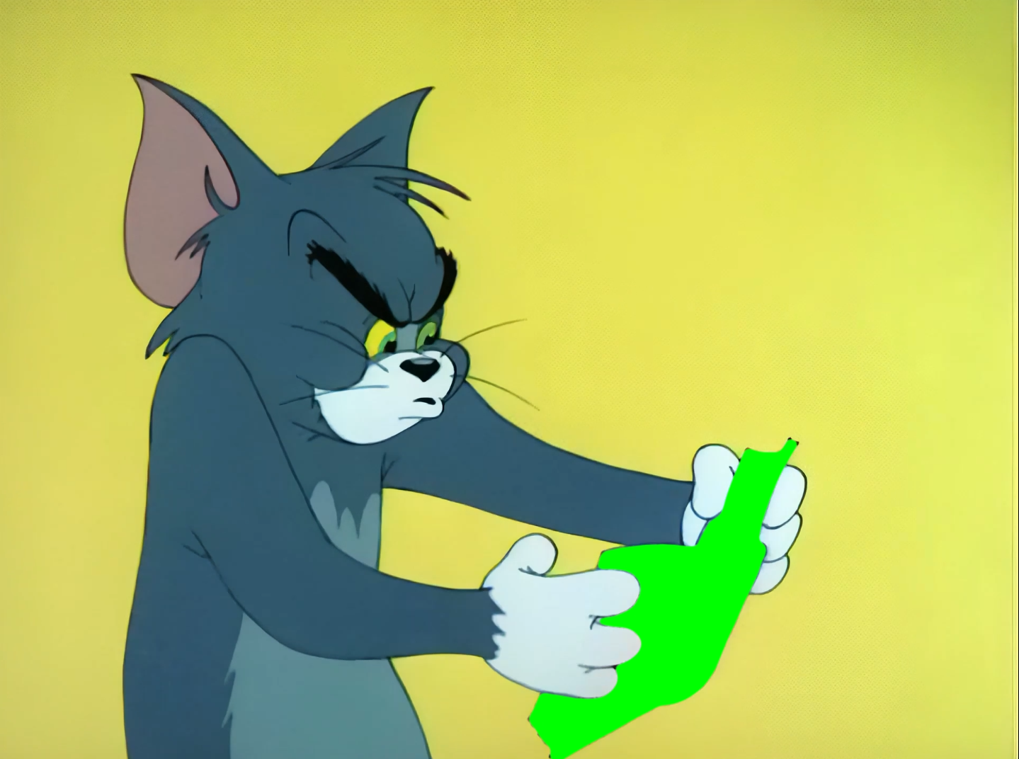 Angry Tom reading a book meme - Tom and Jerry  (Green Screen)