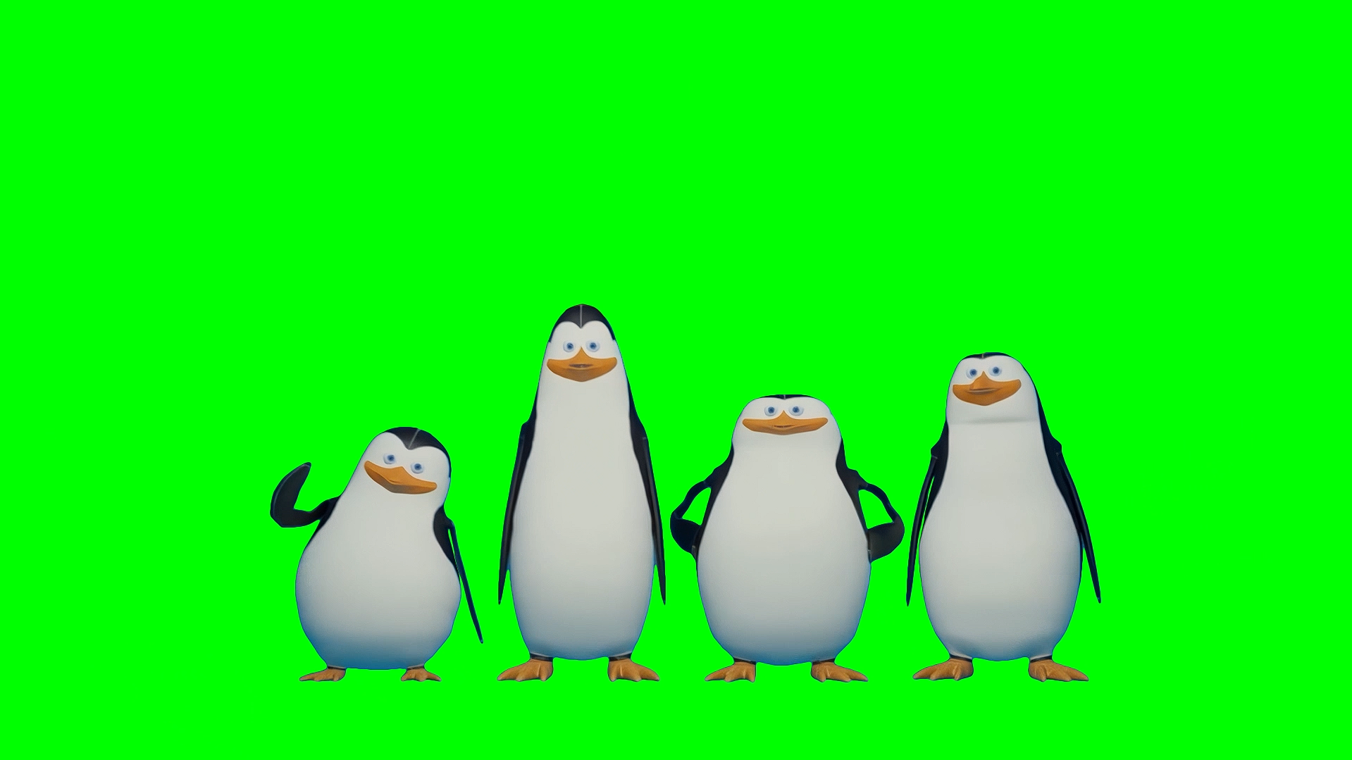 Kawazaki Cago Krico Estriper meme - Penguins of Madagascar (Green Screen)