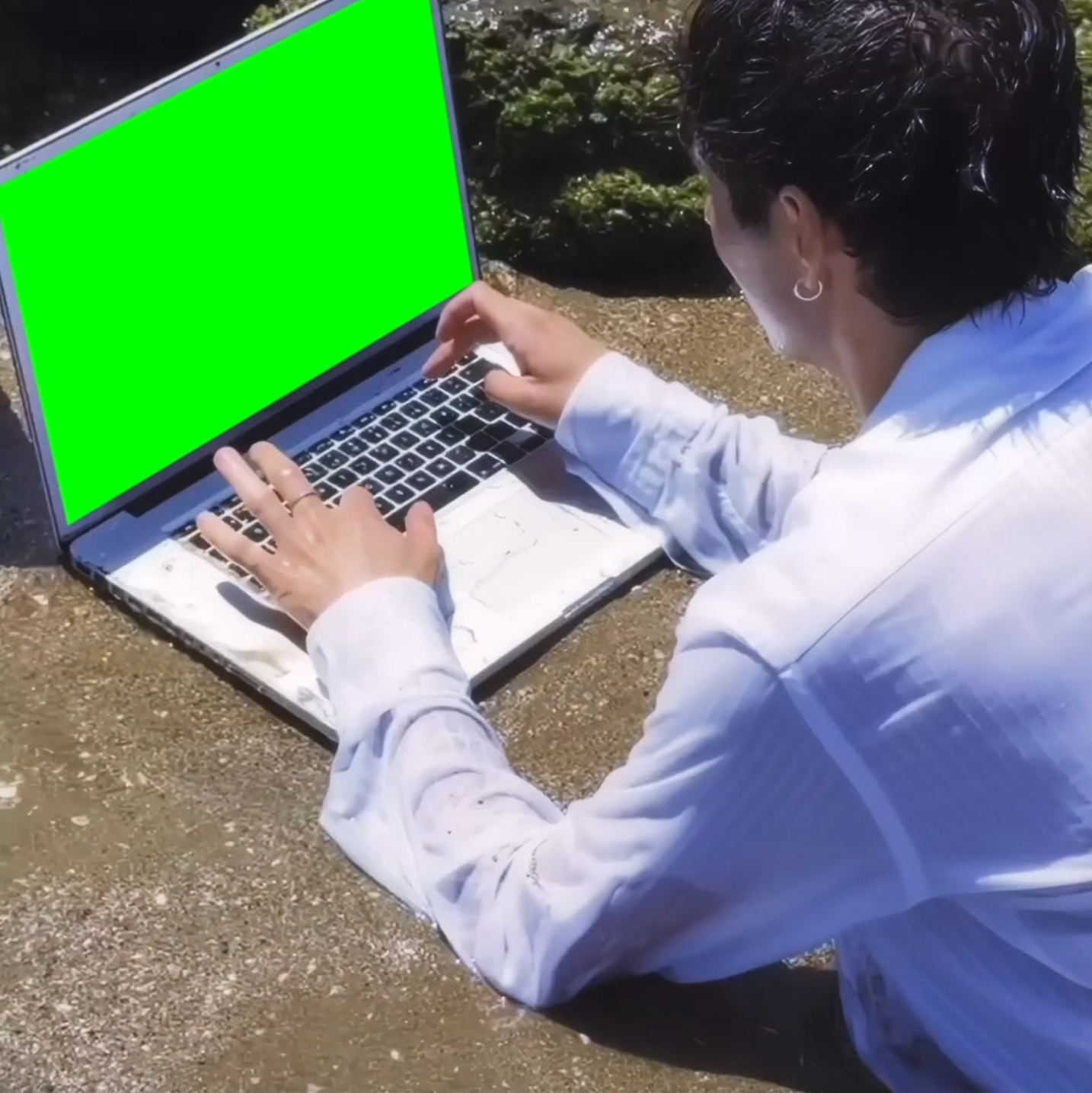 Man Using Laptop at Beach meme (Green Screen)