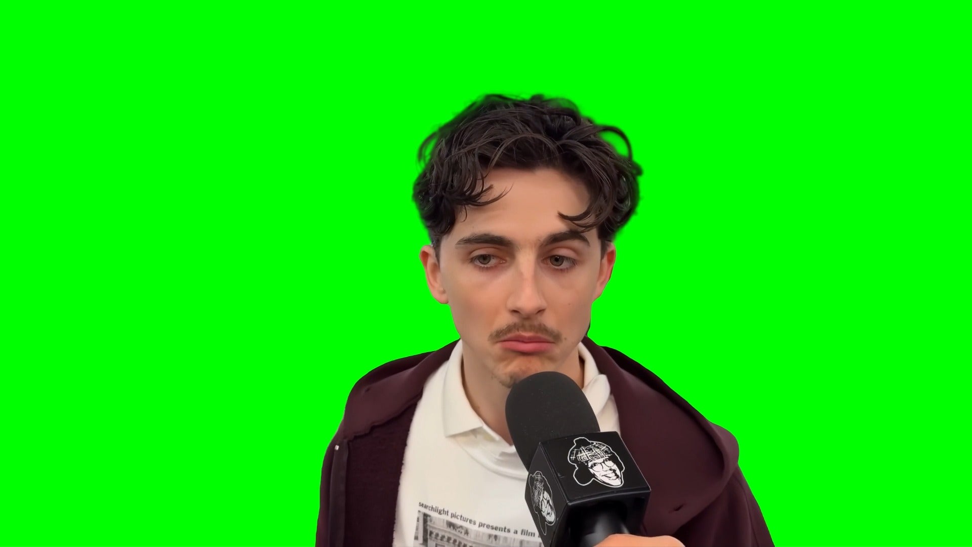 Timothée Chalamet saying 