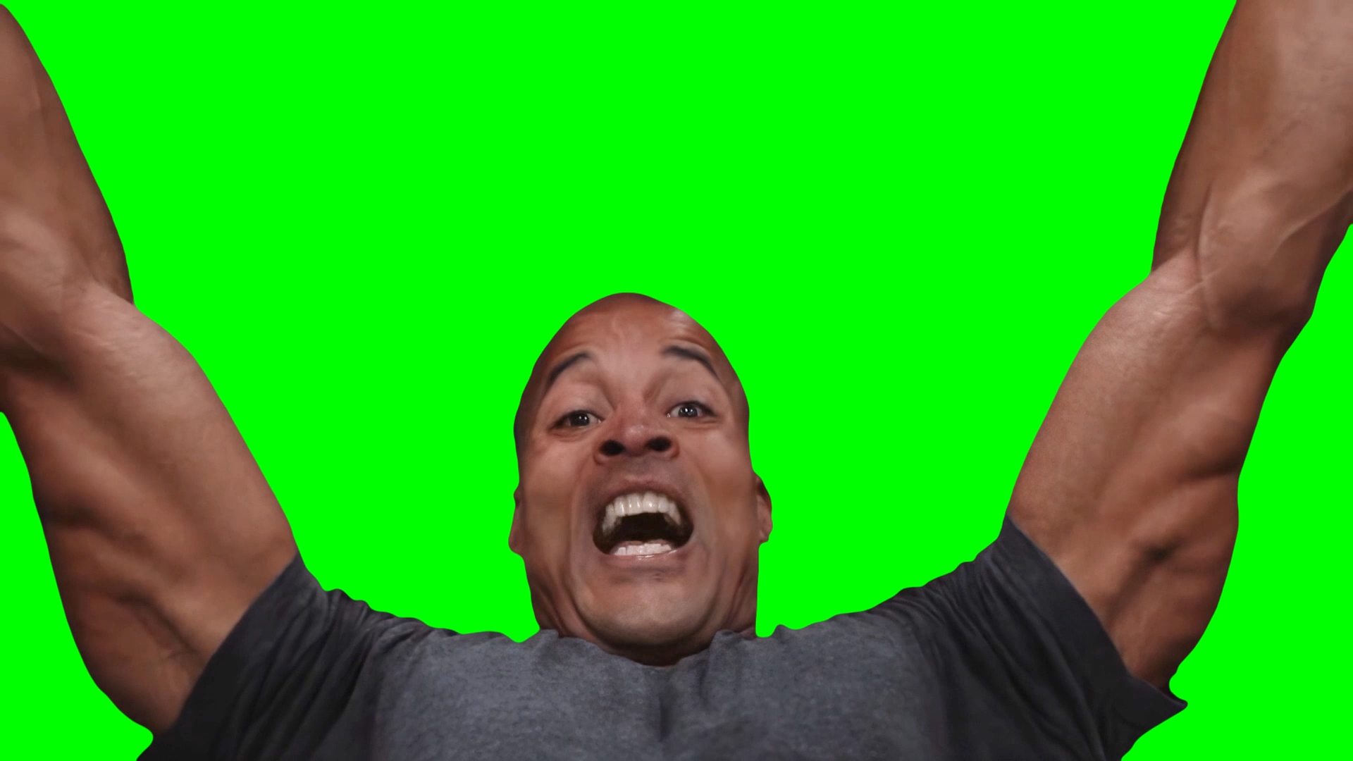 THEY DON'T KNOW ME SON! - David Goggins meme (Green Screen)