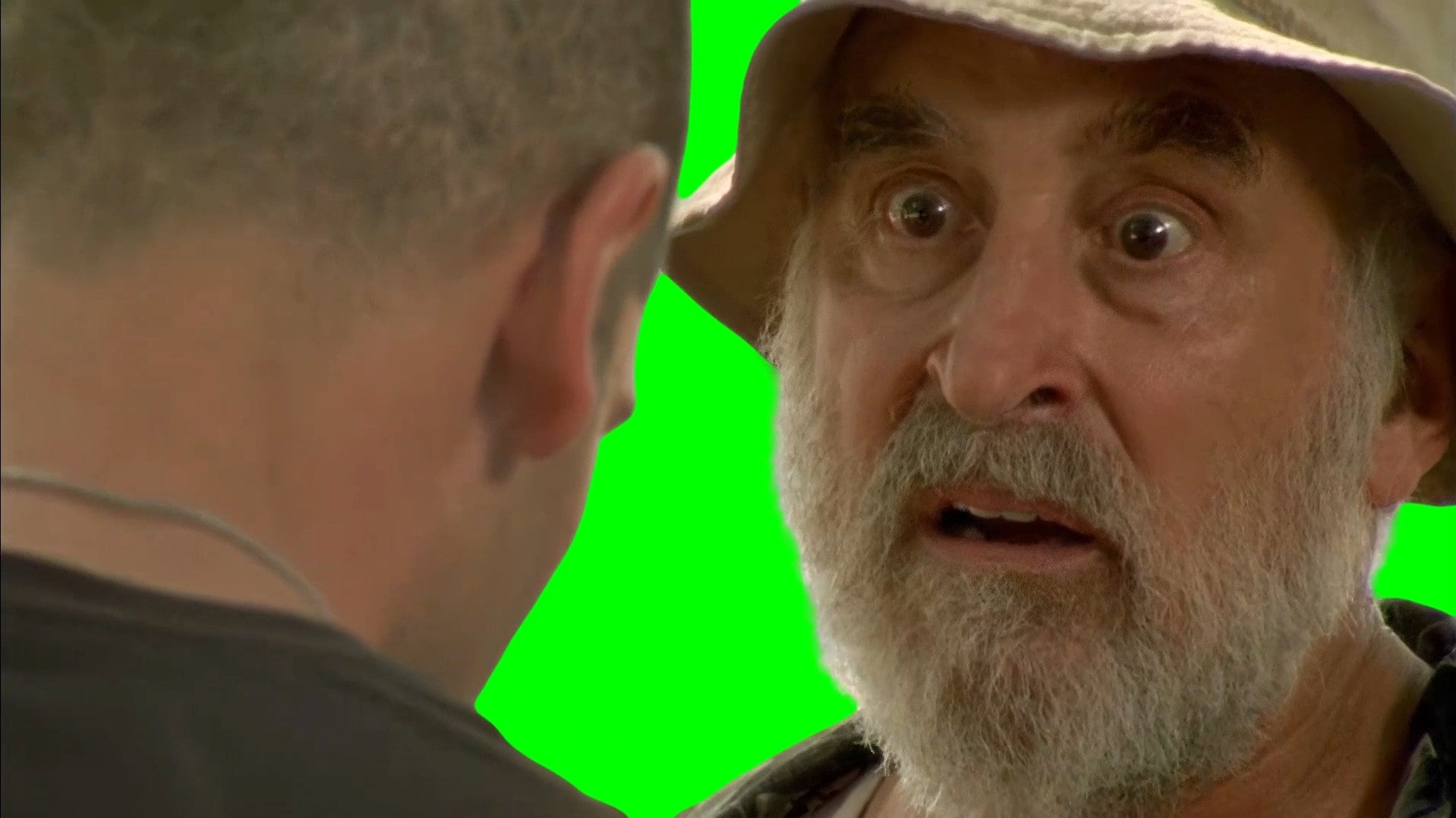 I know what kind of man you are! - The Walking Dead meme (Green Screen)