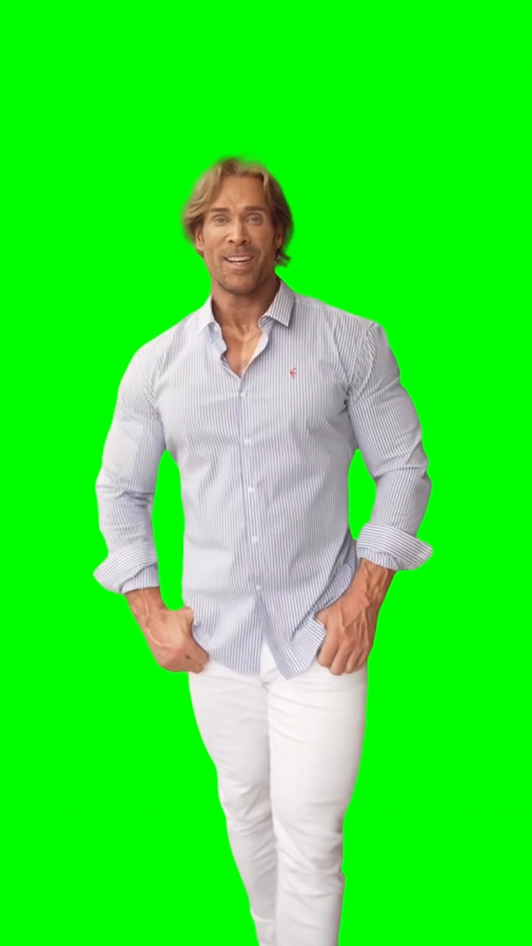 Mike O'Hearn - Baby Don't Hurt Me meme (Green Screen)