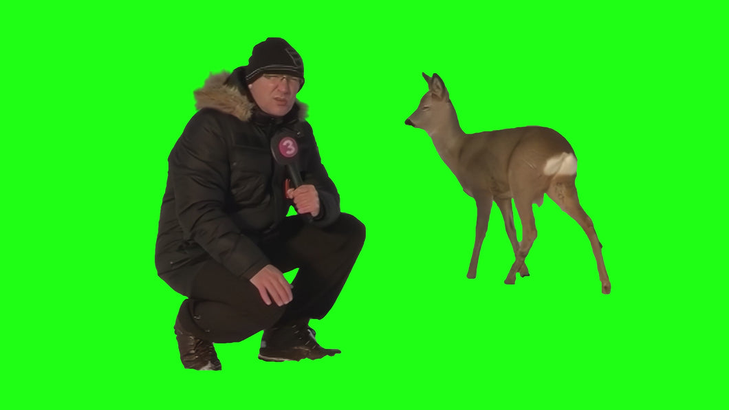 Man Interviewing Deer meme (Green Screen)