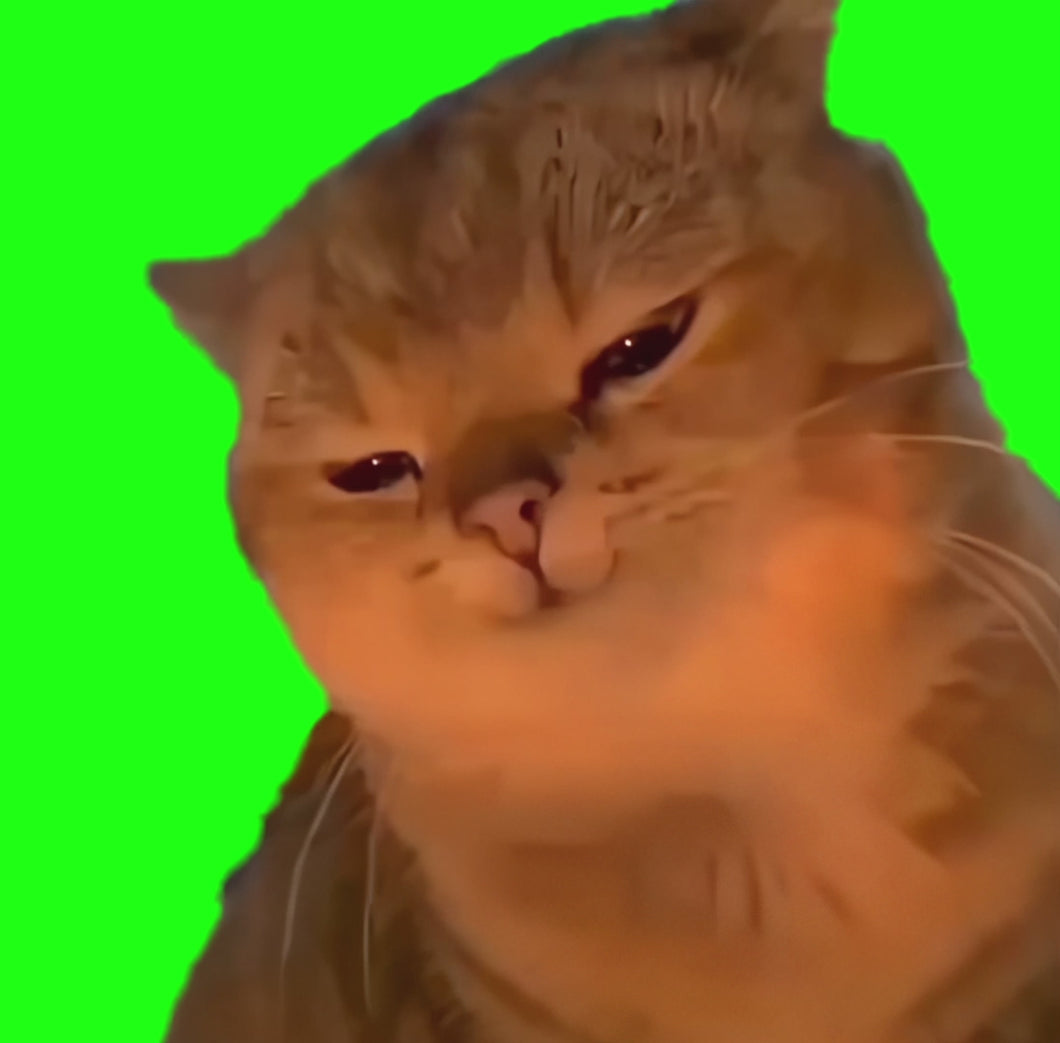 Yapapa Cat meme (Green Screen)