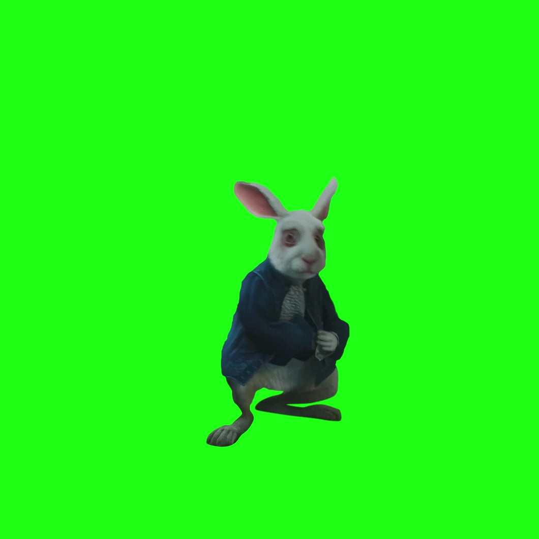 Rabbit Pointing at Clock meme - Alice in Wonderland (Green Screen)