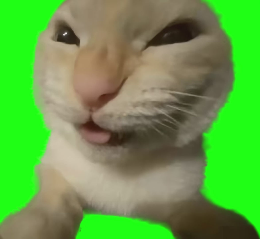 Cat Evil Laugh meme - MUHEHEHE Cat (Green Screen)