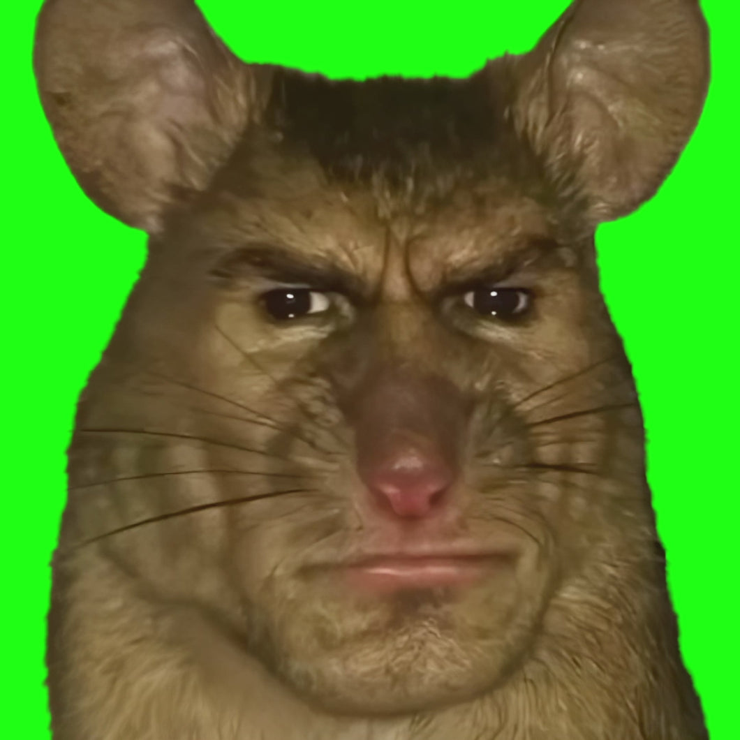 AI Rat Rizz meme (Green Screen)