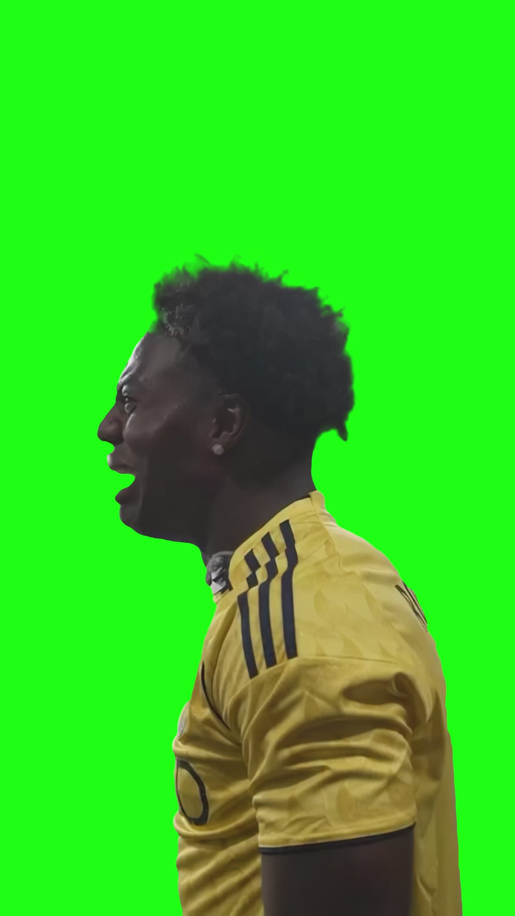 IShowSpeed Crying at Stadium meme  (Green Screen)