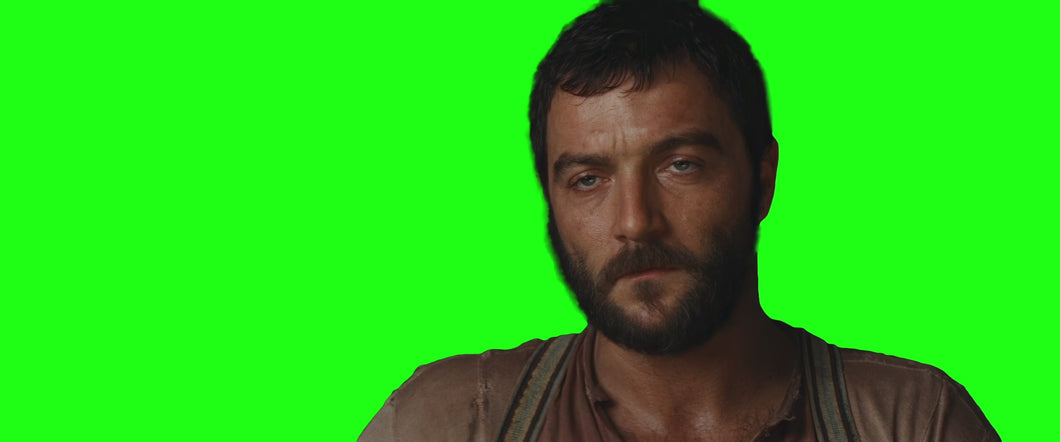 Inglourious Basterds Floorboards Scene meme (Green Screen)