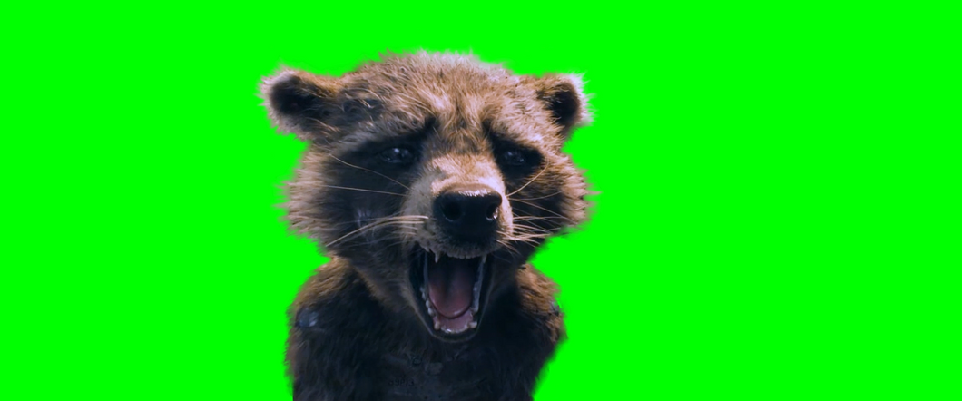 Rocket Raccoon crying and screaming - Guardians of the Galaxy Vol 3 (Green Screen)