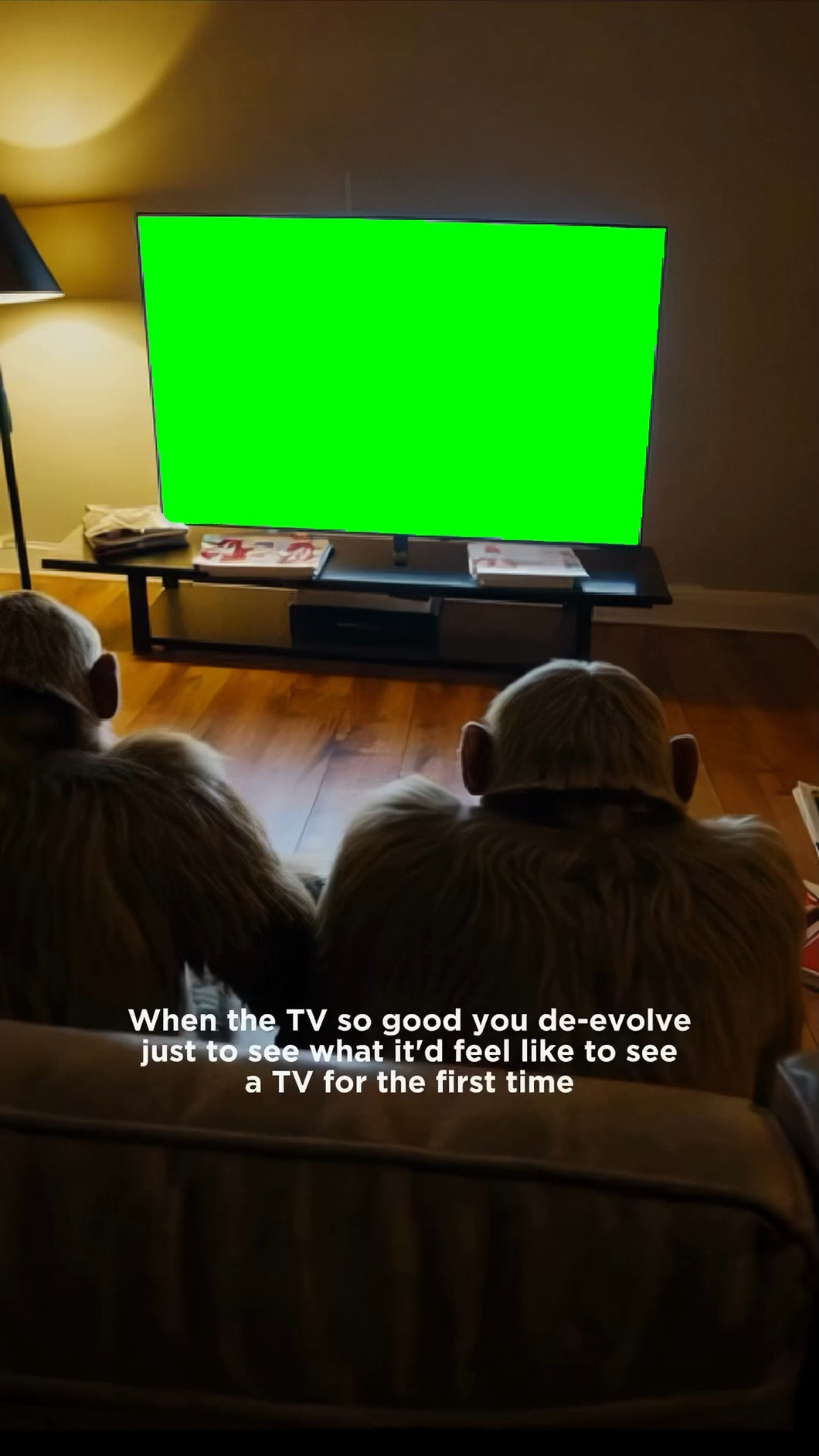TCL Monkeys watching TV meme (Green Screen)