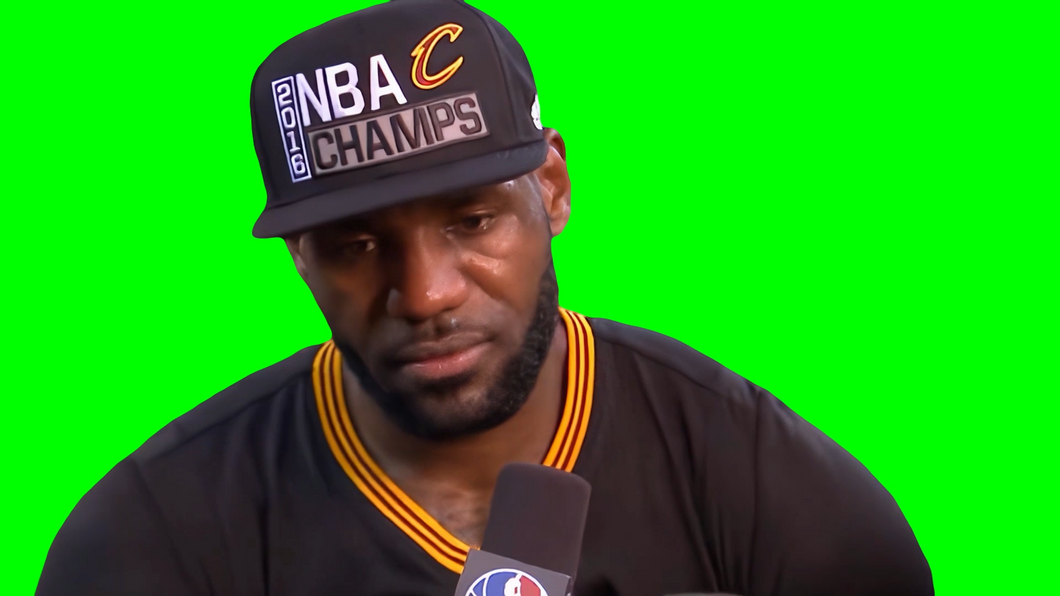 LeBron James 