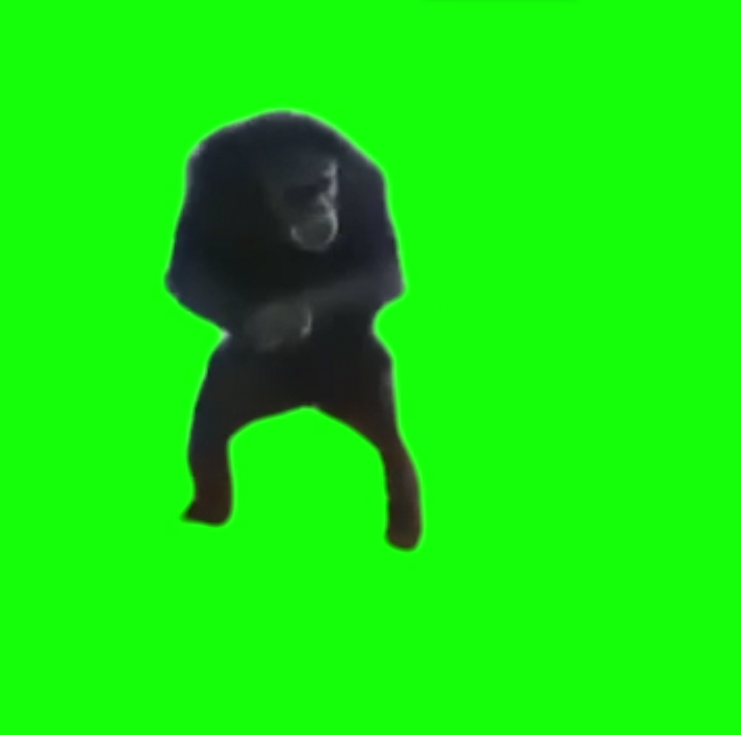 Monkey Clapping (Green Screen)