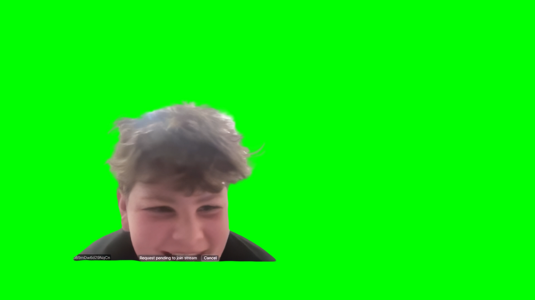 Gen Z Quant Kid Rug Pull meme (Green Screen) – CreatorSet
