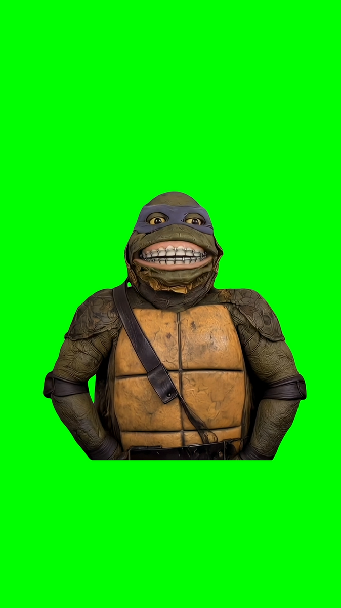 Rakai Ninja Turtle Saying 