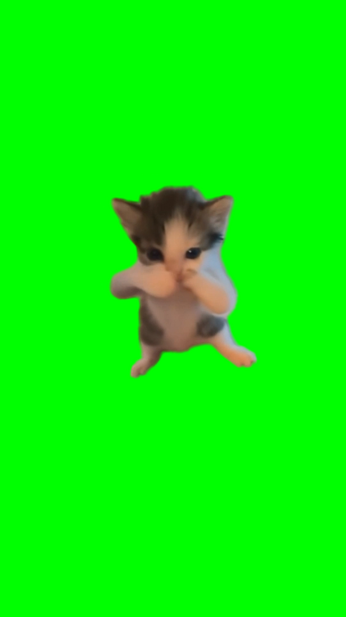 Cat Scuba Dance meme (Green Screen) – CreatorSet