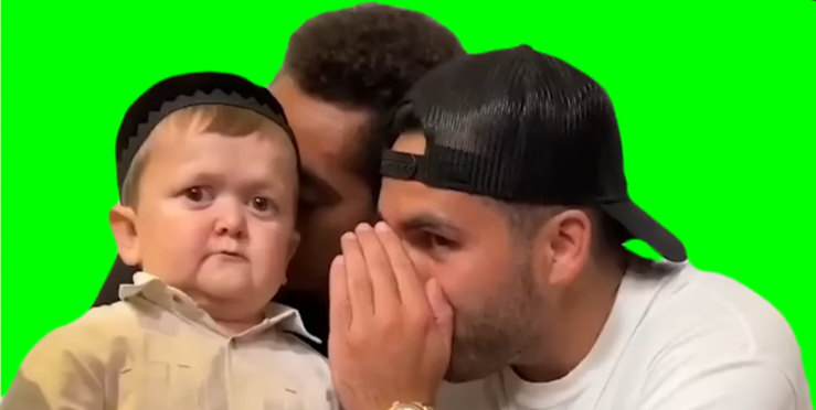 Convincing Hasbulla To fight (Green Screen)