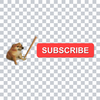 My Test Video!