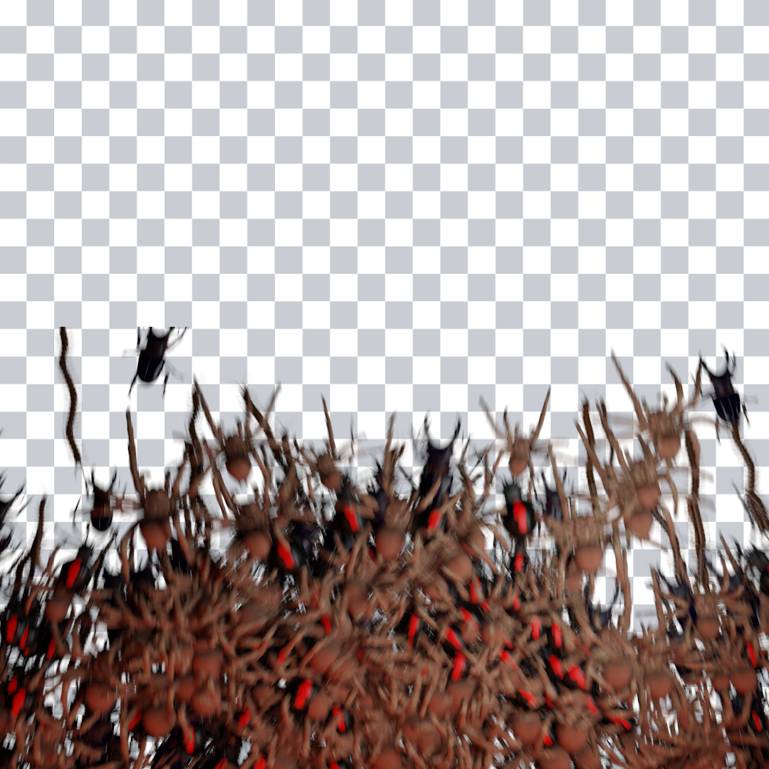 Creepy Spider Transition