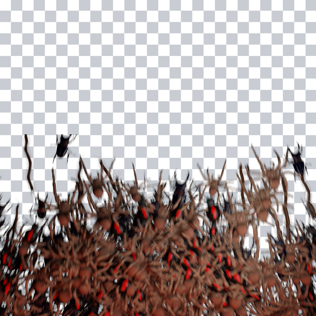 Creepy Spider Transition