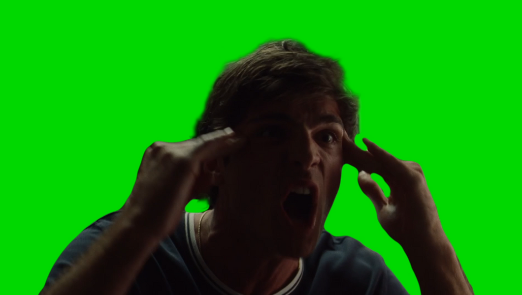 Euphoria - WTF Is Wrong With You (Green Screen)