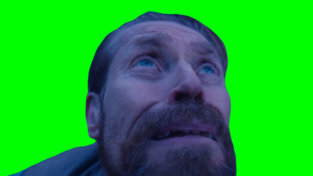 Willem Dafoe Looking Up Meme (Green Screen)