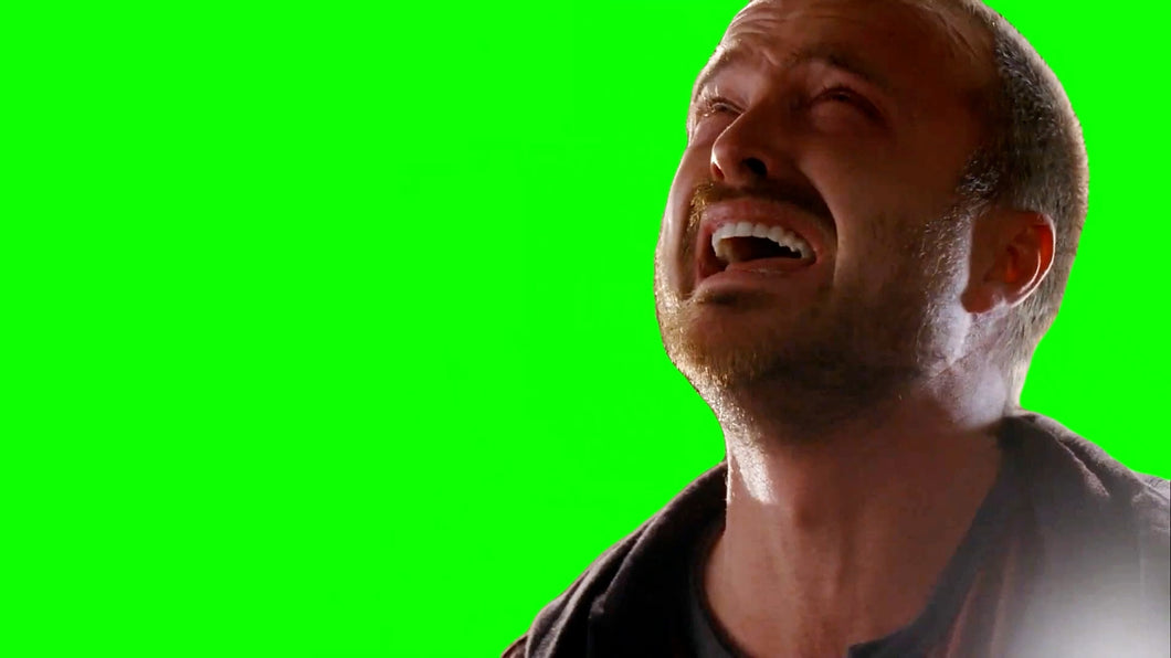 Jesse Pinkman 