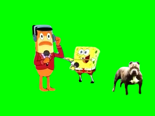 SpongeBob Bing Bong (Green Screen)