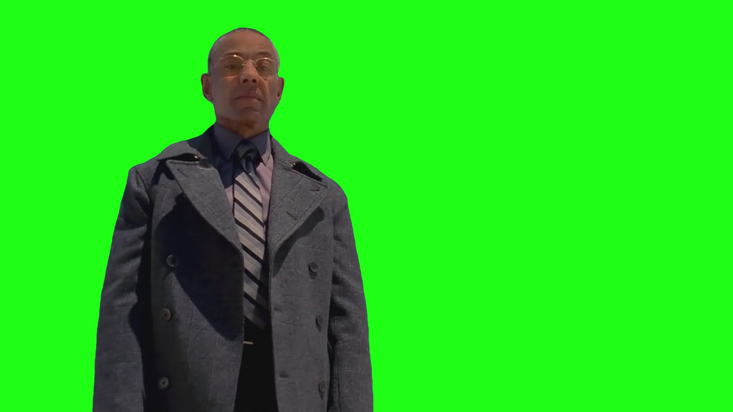 Gus Fring 