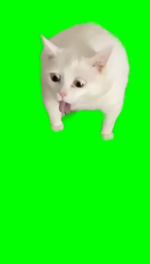 Cat Gags Over Yoghurt meme (Green Screen)
