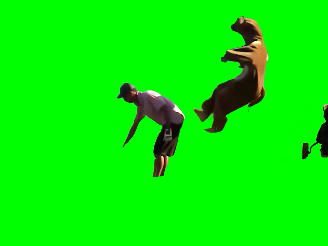 Kangaroo Kicks Remi Gailard (Green Screen)