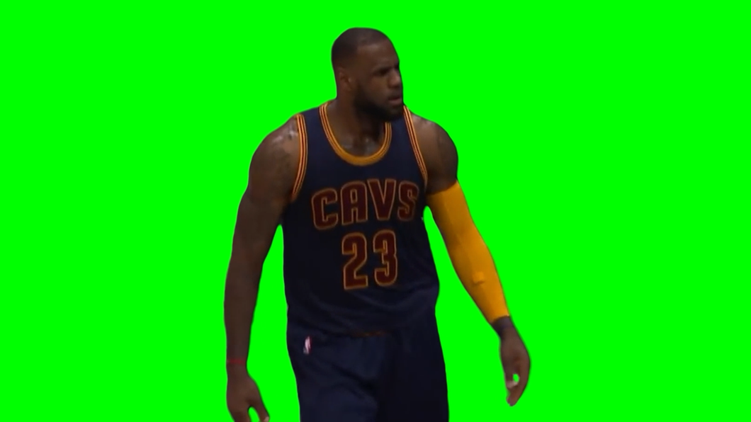 LeBron James 