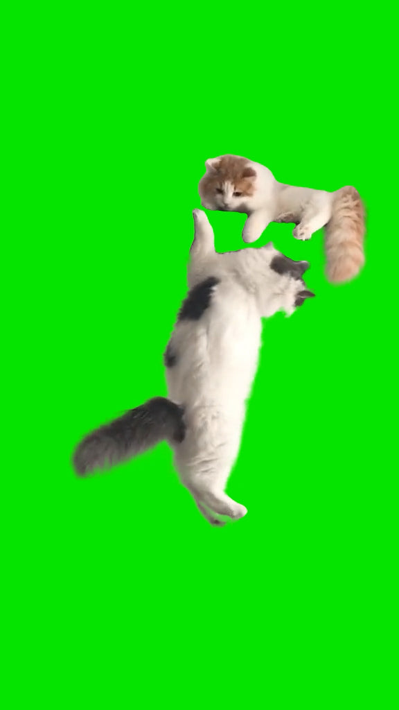 Scar Vs Mufasa Fall But With Cats (Green Screen)