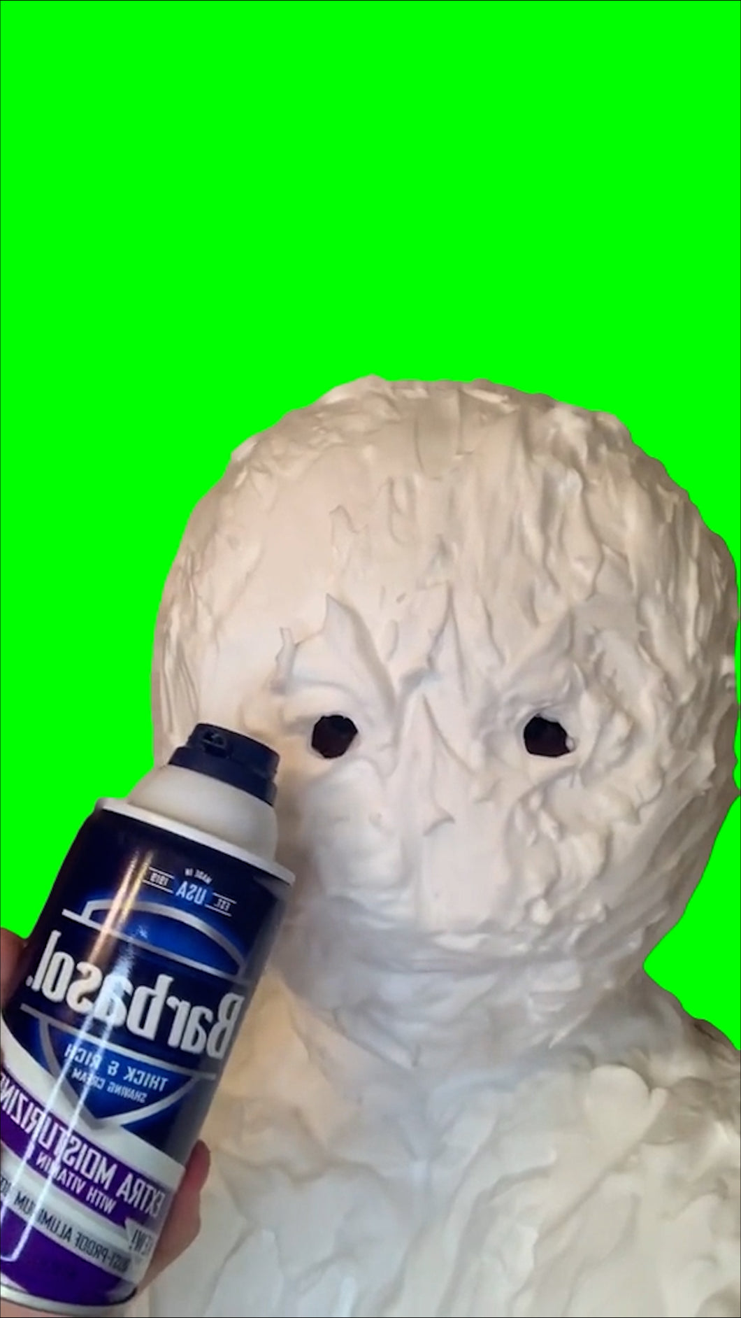 Macaroni With The Chicken Strips Meme (Green Screen)