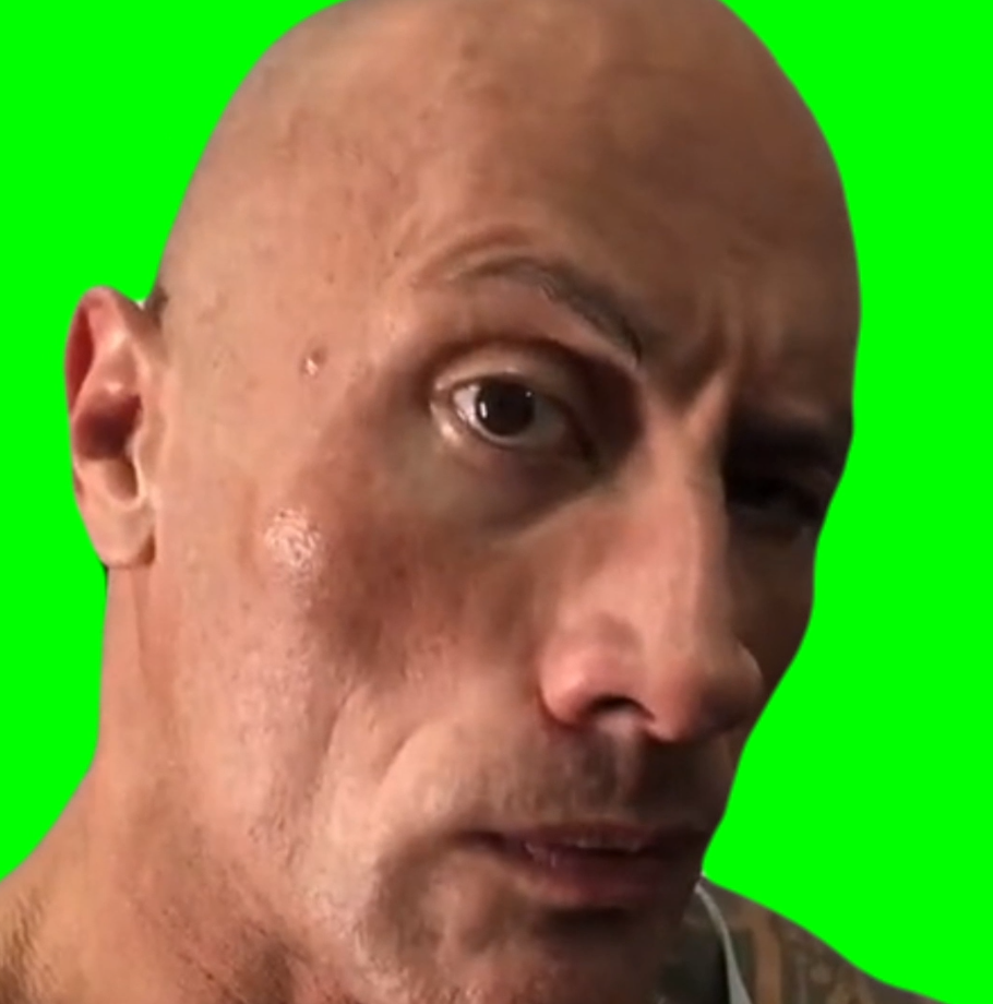 The Rock Eyebrow Thing