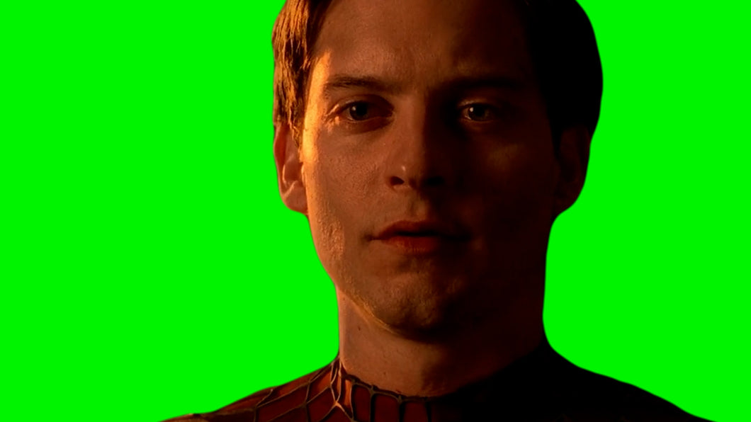 Spiderman 2 - Green Screen Compilation