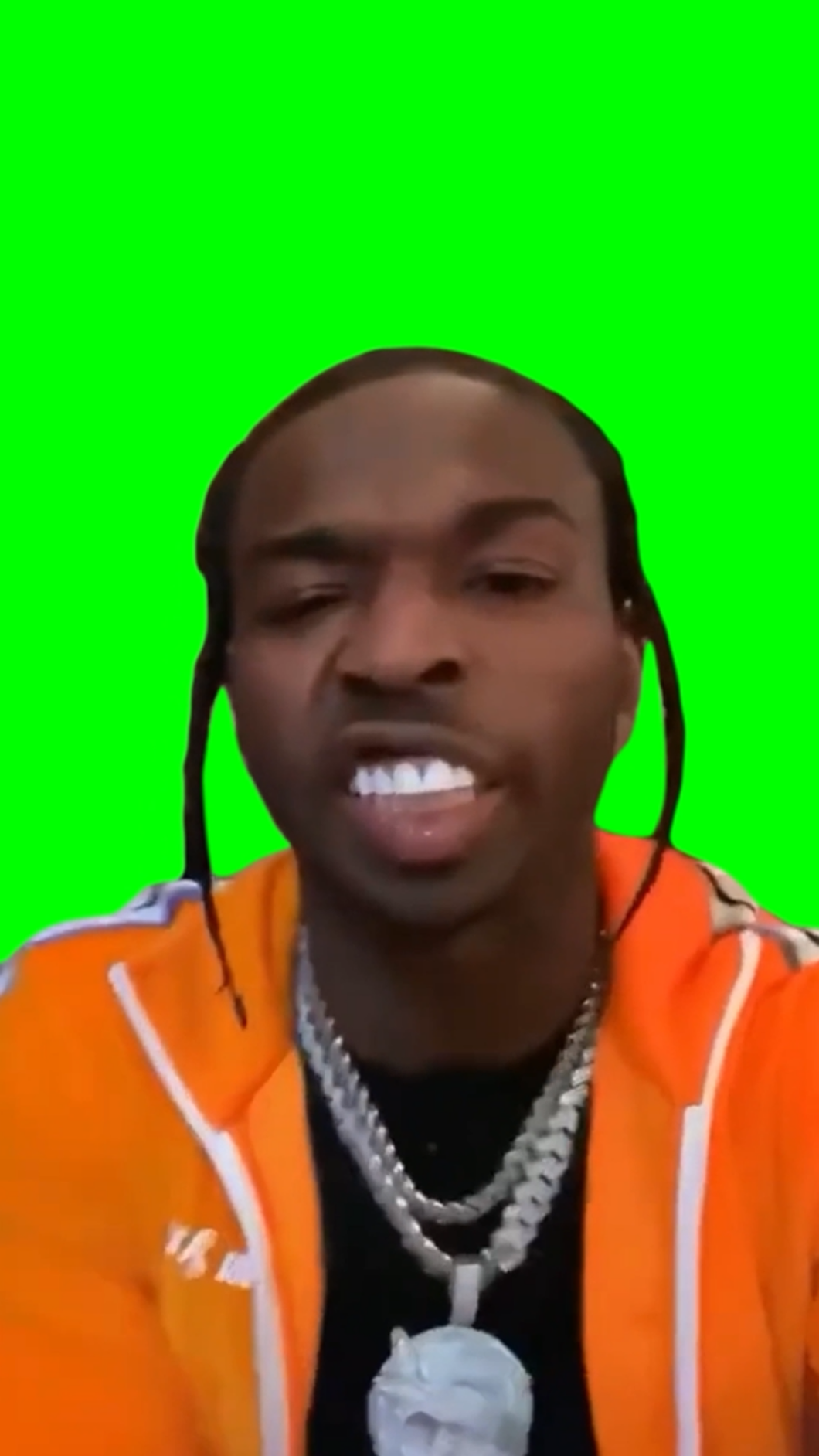 Pop Smoke Barking and Growling (Green Screen)