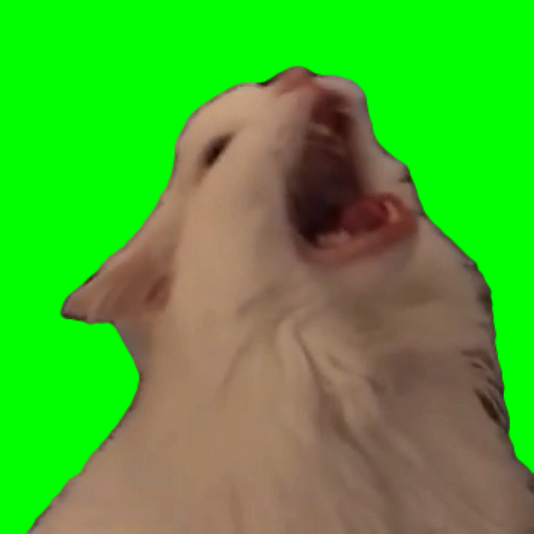 Thurston The Cat (Green Screen)